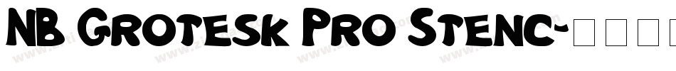 NB Grotesk Pro Stenc字体转换
